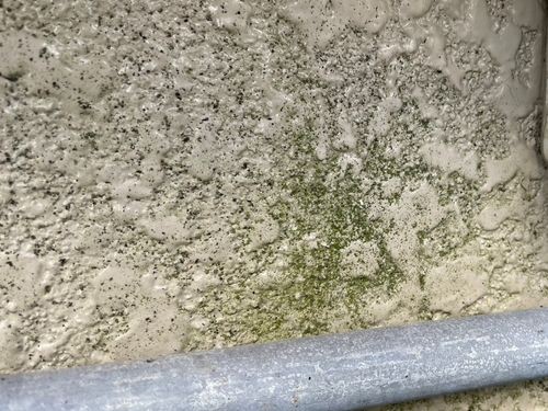【岡山市】I様邸 外壁・屋根塗装の現地調査｜コケ・黒ずみ汚れを徹底チェック！