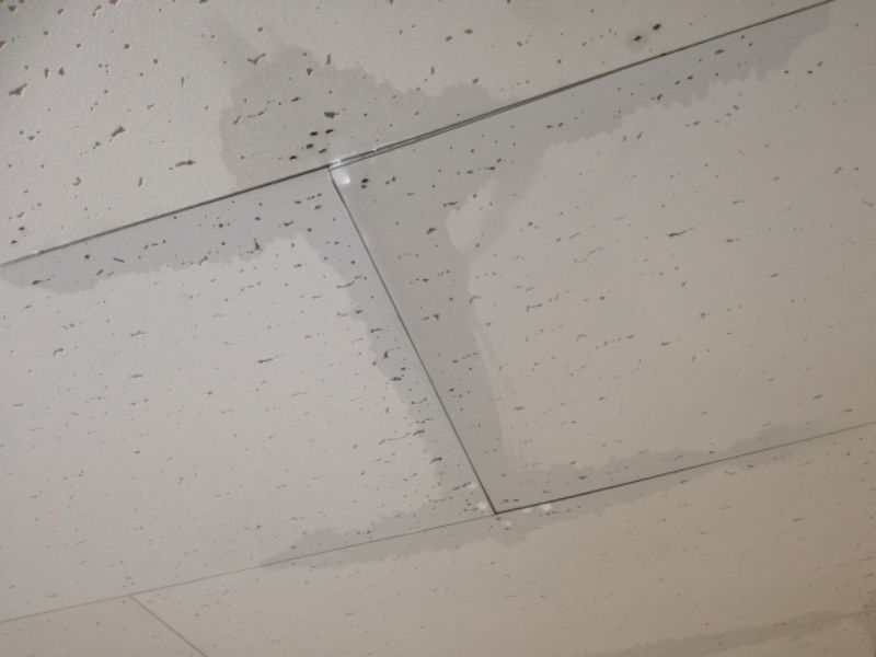 雨漏りが起きやすいよくある場所とは？見落とされがちな侵入口を解説