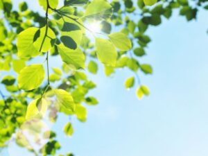 遮熱塗料の効果の仕組み